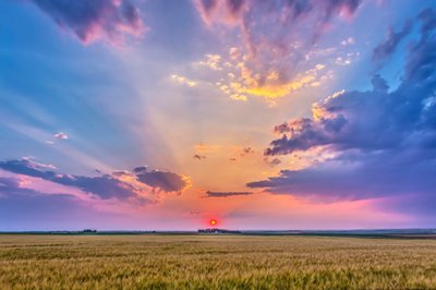 The red setting sun in haze, casting shadows across the sky - crepuscular rays - and lighting the clouds, over a ripening wheatfield near home in Alberta by Unbekannt Unbekannt